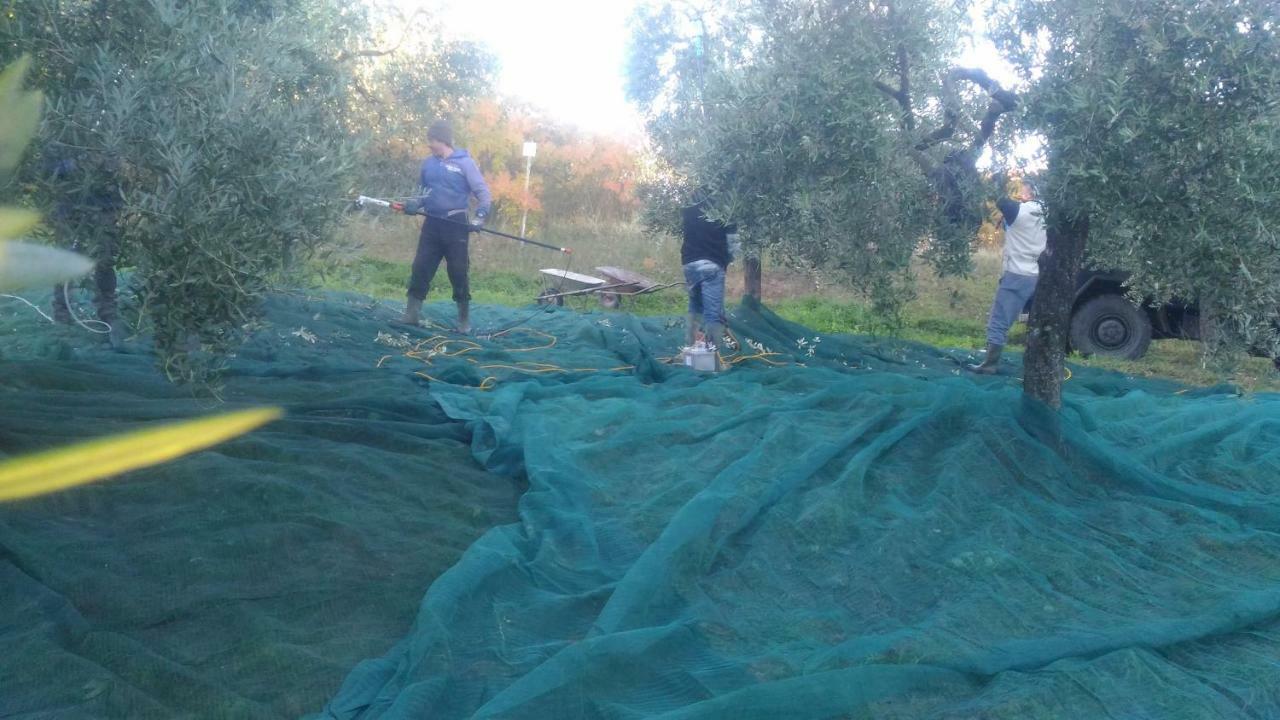 Baduerughe - Valledellago Poggio Mirteto ภายนอก รูปภาพ